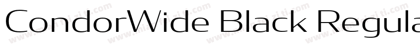 CondorWide Black Regular字体转换
